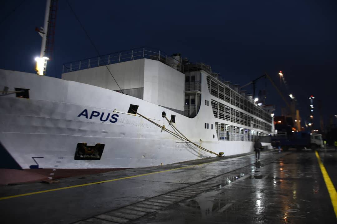 أضاحي العيد المستوردة