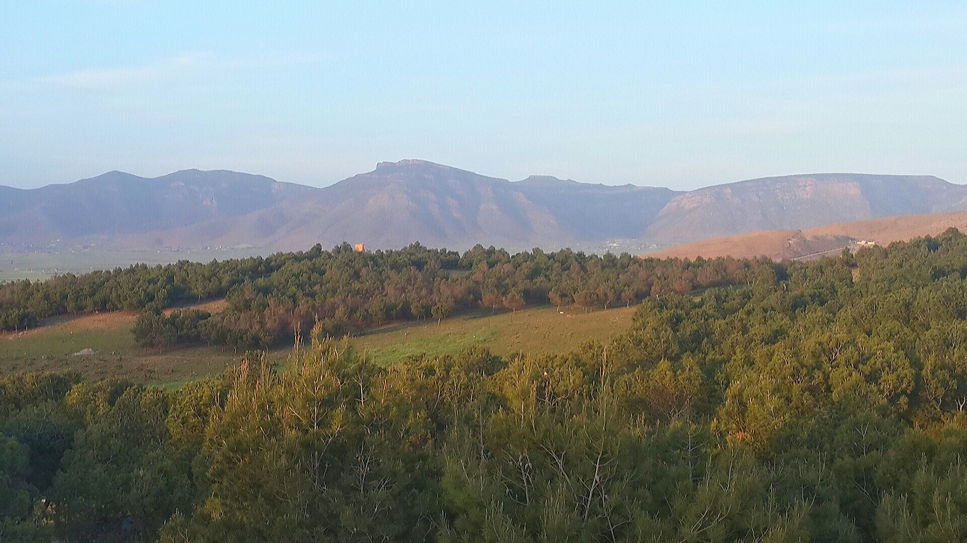 السد الأخضر