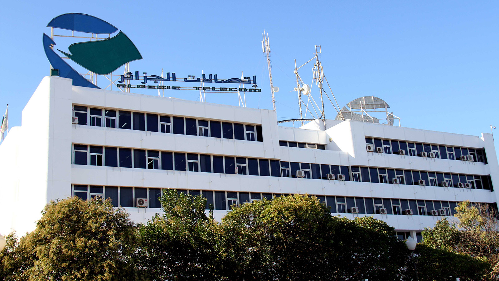 اتصالات الجزائر