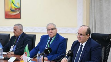 الوزير الأول سيفي غريب